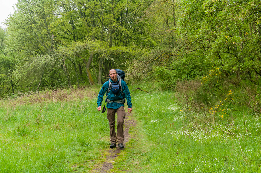 Eifel Wandern auf dem Wildnis Trail im Nationalpark