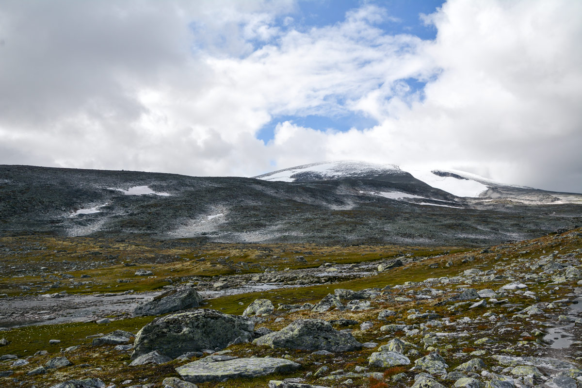 Foto Adventskalender, Trekking, Dovrefjell National Park, Norwegen