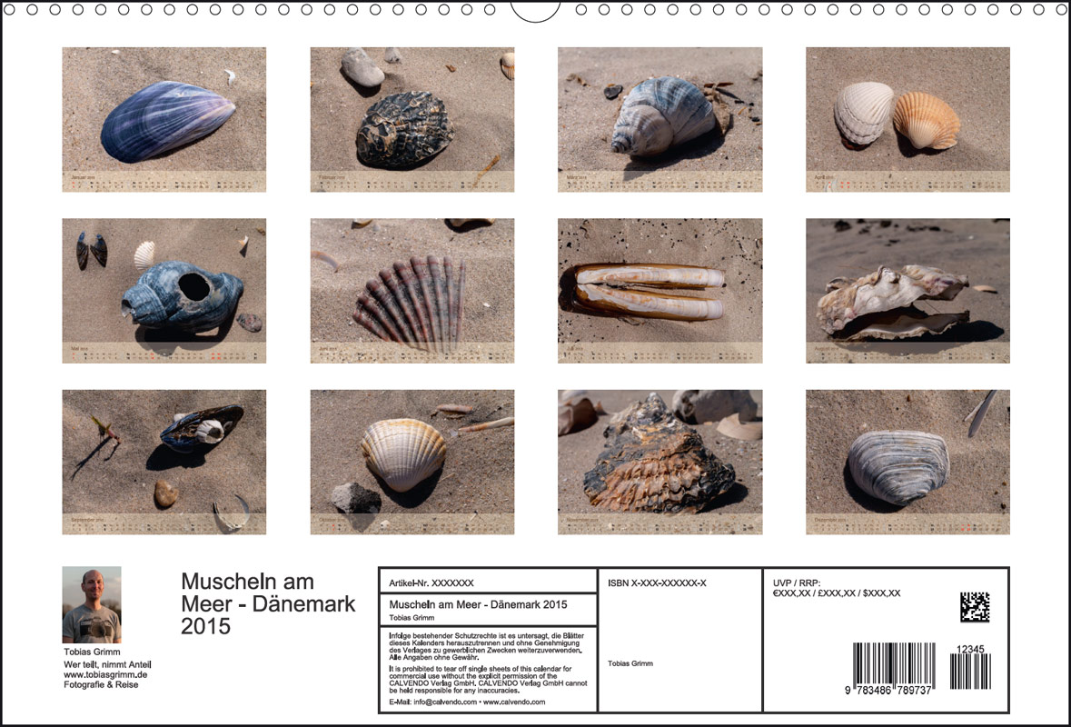 Kalender,Muscheln am Meer, 2015, Blåvand, Jütland, Dänemark
