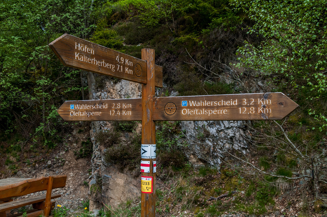Wildnis-Trail erste Etappe Nationalpark Eifel