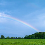 Foto Adventskalender, Regenbogen, Mülheim an der Ruhr, Grüne Felder
