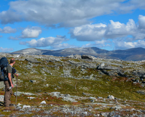 Foto Adventskalender, Trekking, Dovrefjell National Park, Norwegen, Felskamm