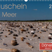 Kalender,Muscheln am Meer, 2015, Blåvand, Jütland, Dänemark